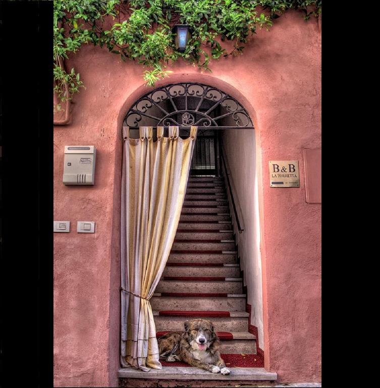 トゥスカーニア La Torretta Bed & Breakfast エクステリア 写真